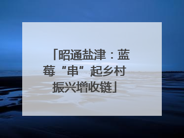 昭通盐津：蓝莓“串”起乡村振兴增收链