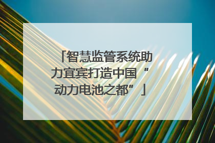 智慧监管系统助力宜宾打造中国“动力电池之都”