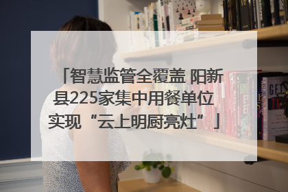 智慧监管全覆盖 阳新县225家集中用餐单位实现“云上明厨亮灶”