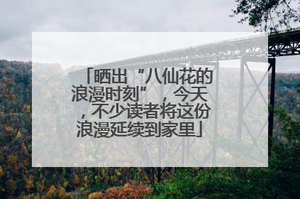 晒出“八仙花的浪漫时刻”，今天，不少读者将这份浪漫延续到家里