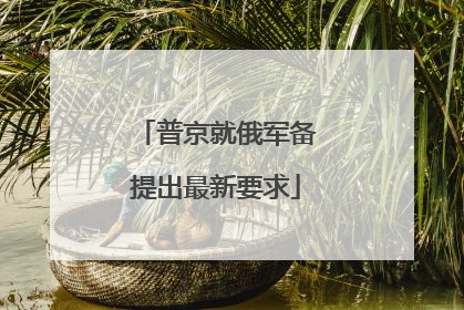 普京就俄军备提出最新要求