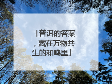 普洱的答案，藏在万物共生的和鸣里