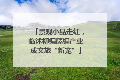 景观小品走红，临沭柳编藤编产业成文旅“新宠”