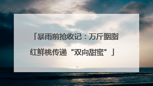 暴雨前抢收记：万斤胭脂红鲜桃传递“双向甜蜜”