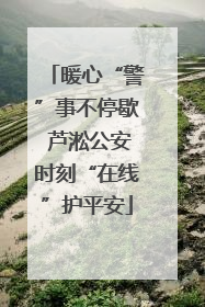 暖心“警”事不停歇 芦淞公安时刻“在线”护平安
