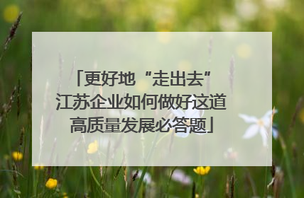 更好地“走出去” 江苏企业如何做好这道高质量发展必答题