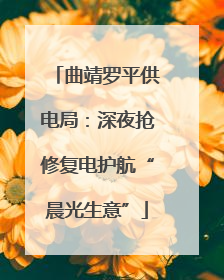 曲靖罗平供电局：深夜抢修复电护航“晨光生意”
