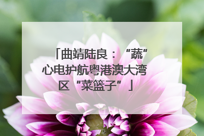 曲靖陆良：“蔬”心电护航粤港澳大湾区“菜篮子”