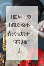 曲阜：防山镇夏收小麦实现烘干“不过夜”