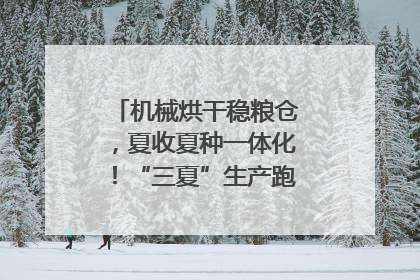 机械烘干稳粮仓，夏收夏种一体化！“三夏”生产跑出加速度｜麦报