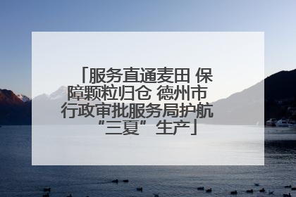 服务直通麦田 保障颗粒归仓 德州市行政审批服务局护航“三夏”生产
