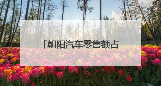 朝阳汽车零售额占全市近四成，本周末“速度节”上演