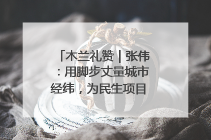木兰礼赞｜张伟：用脚步丈量城市经纬，为民生项目按下“加速键”