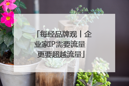 每经品牌观丨企业家IP需要流量 更要超越流量
