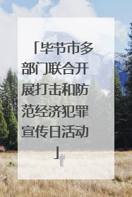 毕节市多部门联合开展打击和防范经济犯罪宣传日活动