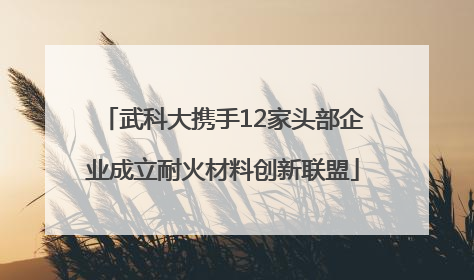 武科大携手12家头部企业成立耐火材料创新联盟