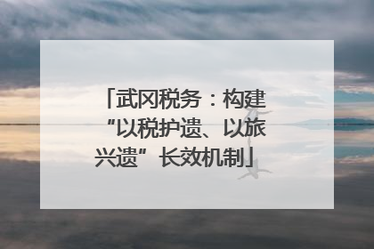 武冈税务：构建“以税护遗、以旅兴遗”长效机制