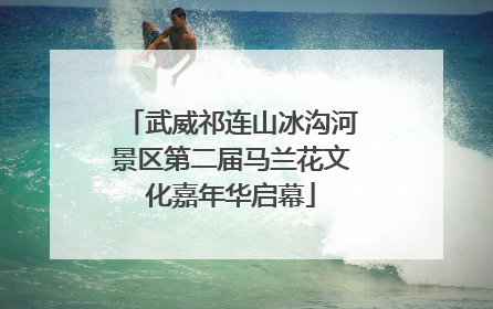 武威祁连山冰沟河景区第二届马兰花文化嘉年华启幕