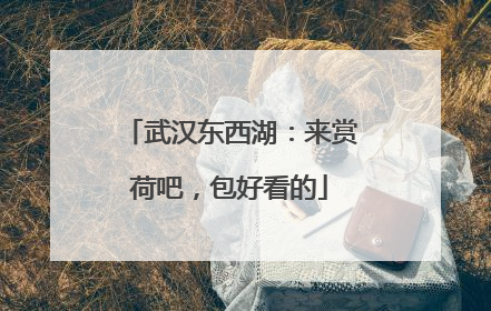 武汉东西湖：来赏荷吧，包好看的