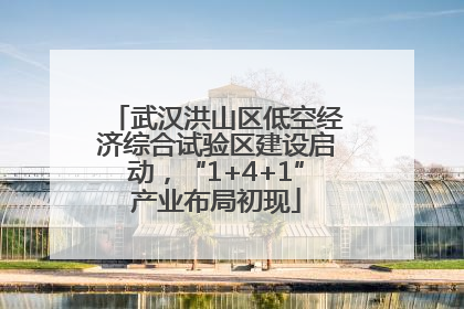 武汉洪山区低空经济综合试验区建设启动，“1+4+1”产业布局初现