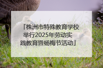 株洲市特殊教育学校举行2025年劳动实践教育暨杨梅节活动