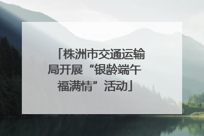 株洲市交通运输局开展“银龄端午福满情”活动