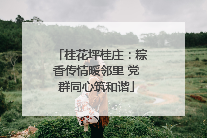 桂花坪桂庄：粽香传情暖邻里 党群同心筑和谐