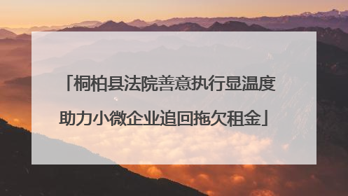 桐柏县法院善意执行显温度 助力小微企业追回拖欠租金