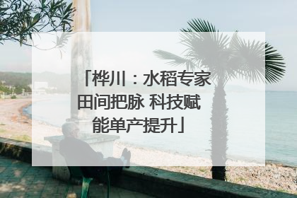 桦川：水稻专家田间把脉 科技赋能单产提升