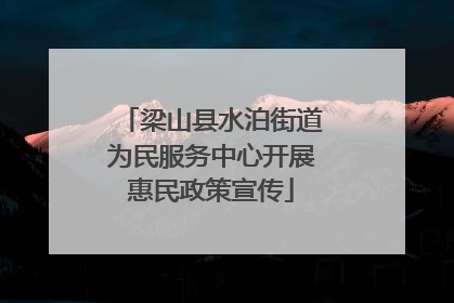 梁山县水泊街道为民服务中心开展惠民政策宣传