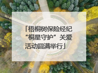 梧桐树保险经纪“桐星守护”关爱活动圆满举行