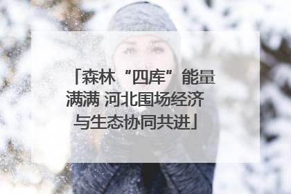 森林“四库”能量满满 河北围场经济与生态协同共进