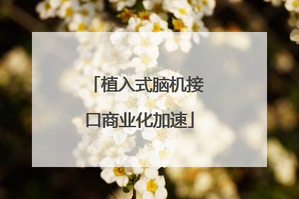 植入式脑机接口商业化加速
