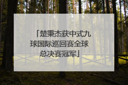 楚秉杰获中式九球国际巡回赛全球总决赛冠军
