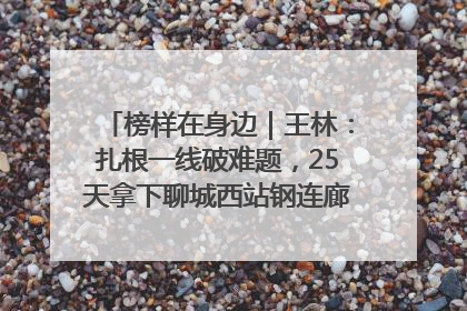 榜样在身边｜王林：扎根一线破难题，25天拿下聊城西站钢连廊“硬核”工程