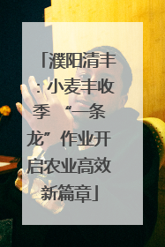 濮阳清丰：小麦丰收季 “一条龙”作业开启农业高效新篇章
