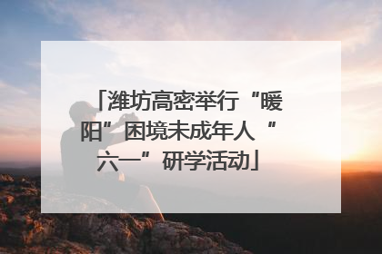 潍坊高密举行“暖阳”困境未成年人“六一”研学活动