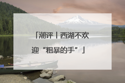 潮评丨西湖不欢迎“粗暴的手”