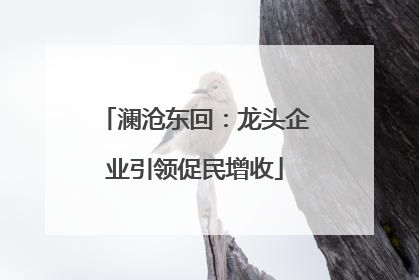澜沧东回：龙头企业引领促民增收