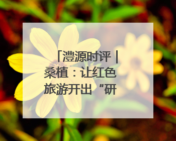 澧源时评｜桑植：让红色旅游开出“研学”之光