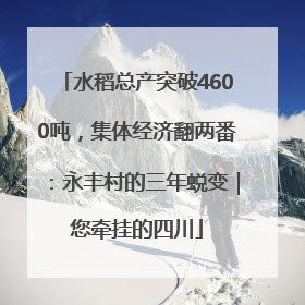 水稻总产突破4600吨，集体经济翻两番：永丰村的三年蜕变｜您牵挂的四川