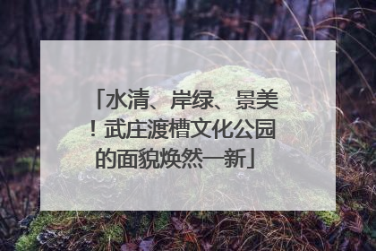 水清、岸绿、景美！武庄渡槽文化公园的面貌焕然一新