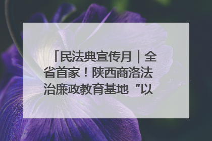 民法典宣传月｜全省首家！陕西商洛法治廉政教育基地“以案说纪”润人心