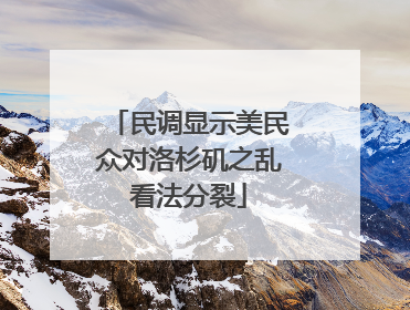 民调显示美民众对洛杉矶之乱看法分裂