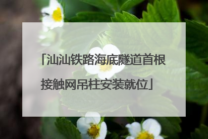 汕汕铁路海底隧道首根接触网吊柱安装就位