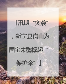 汛期“突袭”，新宁县崀山为国宝朱鹮撑起“保护伞”