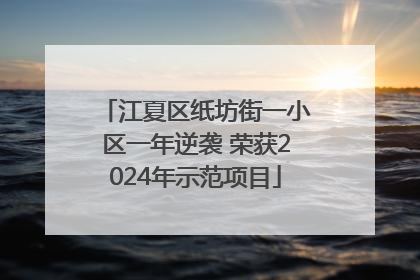 江夏区纸坊街一小区一年逆袭 荣获2024年示范项目
