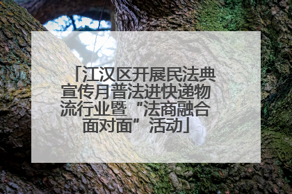 江汉区开展民法典宣传月普法进快递物流行业暨“法商融合面对面”活动