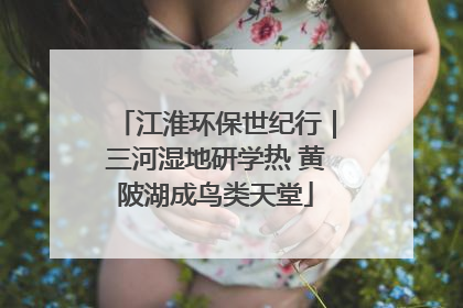 江淮环保世纪行｜三河湿地研学热 黄陂湖成鸟类天堂