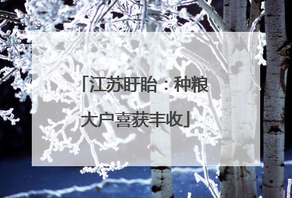 江苏盱眙：种粮大户喜获丰收